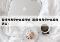 软件开发学什么编程好（软件开发学什么编程语言）