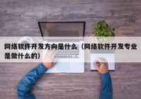 网络软件开发方向是什么（网络软件开发专业是做什么的）