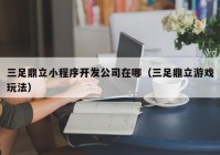 三足鼎立小程序开发公司在哪（三足鼎立游戏玩法）