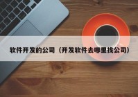 软件开发的公司（开发软件去哪里找公司）